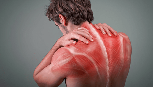 1611344912702.png 1611344912702.png