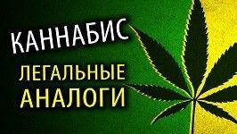 фото1.jpg фото1.jpg