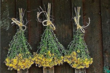 фото2.jpg фото2.jpg