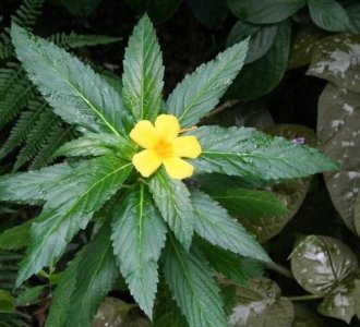 фото3.jpg фото3.jpg