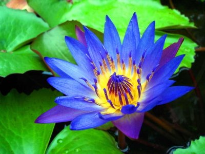 фото4.jpg фото4.jpg