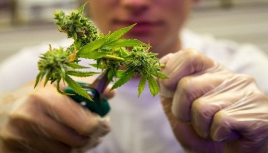 фото1.jpg фото1.jpg