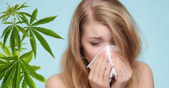 фото1.jpg фото1.jpg