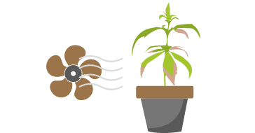 1613484184258.png 1613484184258.png