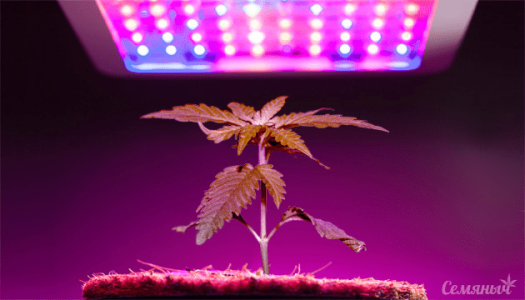 1613566717246.png 1613566717246.png