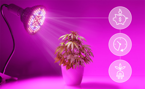 1613566862571.png 1613566862571.png