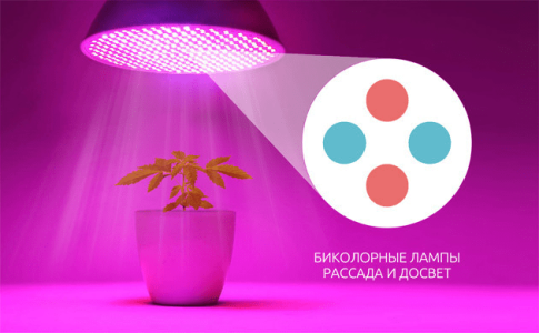 1613566886060.png 1613566886060.png