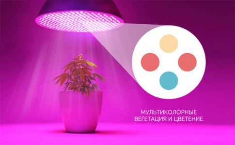 1613566895044.png 1613566895044.png