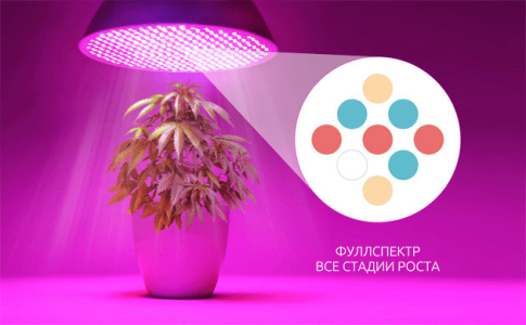 1613566905066.png 1613566905066.png