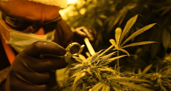 1614023060914.png 1614023060914.png