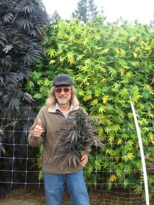 хорхе3.jpg хорхе3.jpg