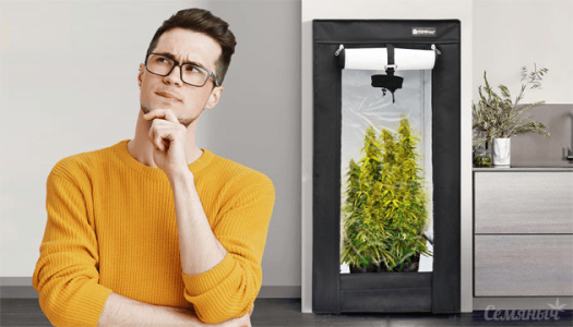 1615406618353.png 1615406618353.png