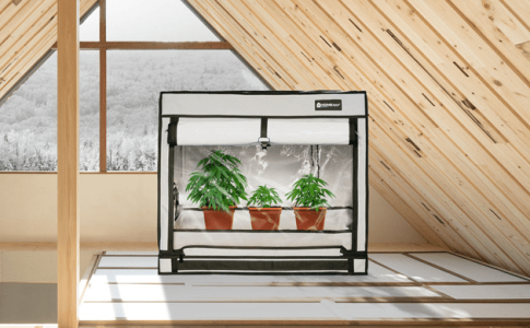 1615406709966.png 1615406709966.png