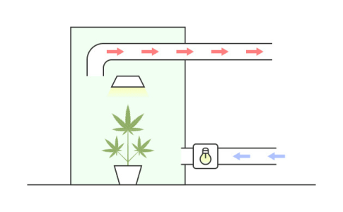 1615406901550.png 1615406901550.png