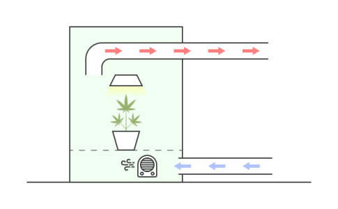 1615406919828.png 1615406919828.png