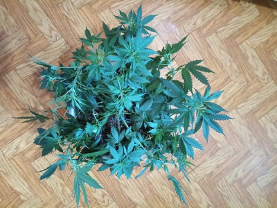 1657436670093.png 1657436670093.png