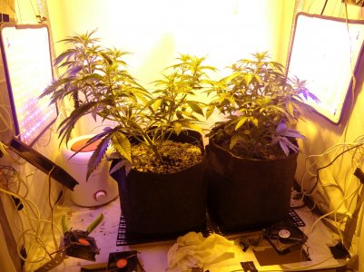 DSC00296.jpg DSC00296.jpg