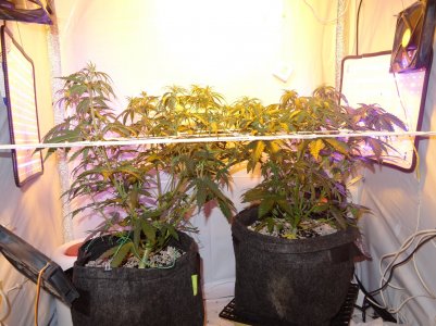 DSC00318.jpg DSC00318.jpg