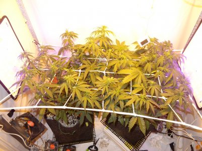 DSC00320.jpg DSC00320.jpg