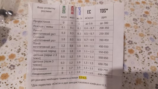 IMG_20220712_015524.jpg IMG_20220712_015524.jpg