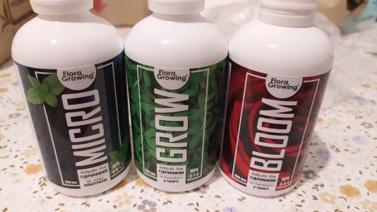 IMG_20220712_015448.jpg IMG_20220712_015448.jpg