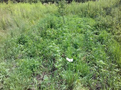 20160516_014310.jpg 20160516_014310.jpg