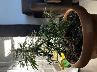 28F4B92E-0845-4D82-A564-FBFF41C7294C.jpeg 28F4B92E-0845-4D82-A564-FBFF41C7294C.jpeg