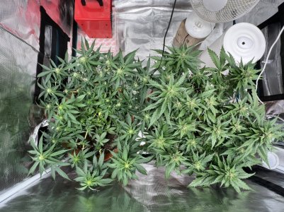 030F878E-F876-4EF5-9E31-26FDE77167A8.jpeg 030F878E-F876-4EF5-9E31-26FDE77167A8.jpeg