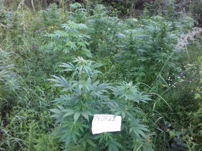 20160522_074432.jpg 20160522_074432.jpg