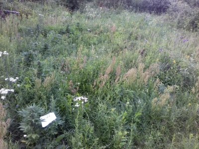 20160522_075053.jpg 20160522_075053.jpg