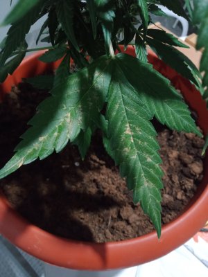 16583420935057488504150183973120.jpg 16583420935057488504150183973120.jpg