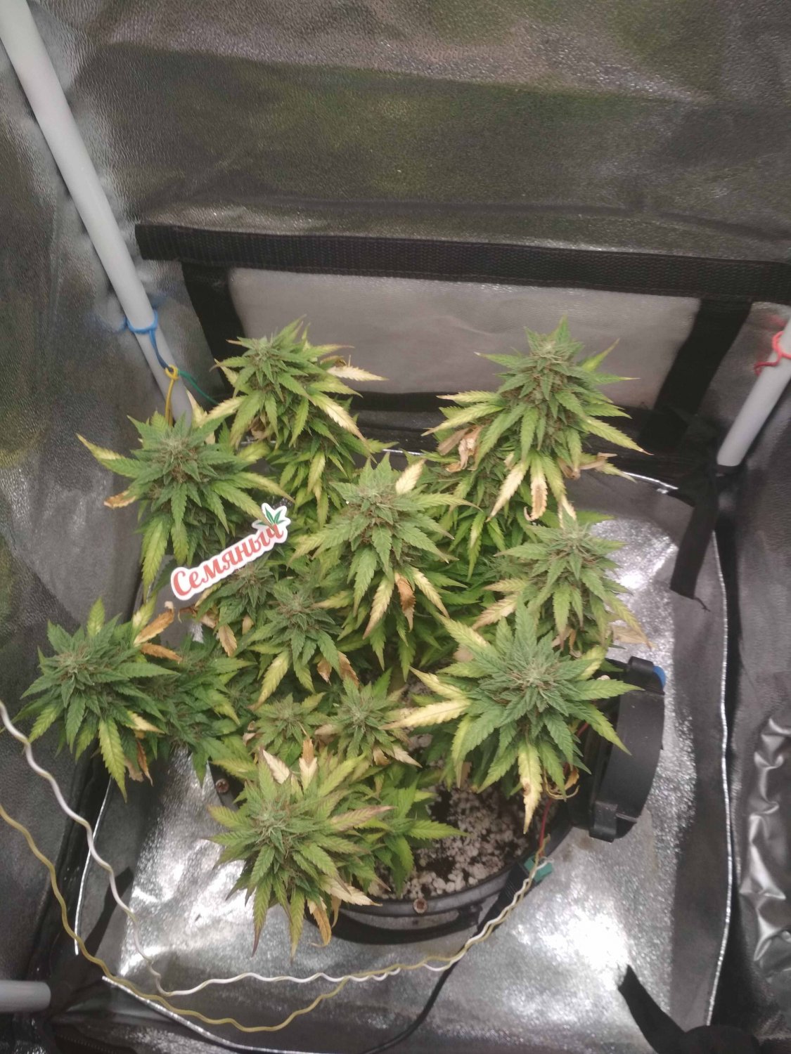 IMG_20220723_183714.jpg IMG_20220723_183714.jpg