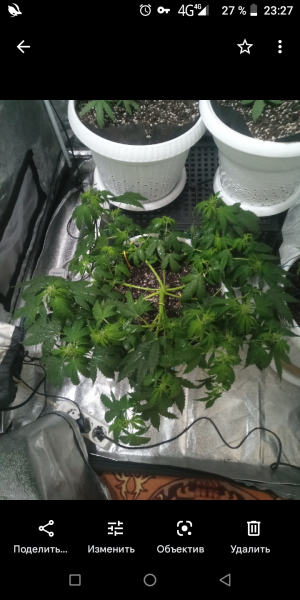 Screenshot_20220727-232725.png Screenshot_20220727-232725.png