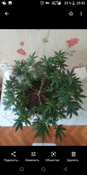 Screenshot_20220727-233209.png Screenshot_20220727-233209.png