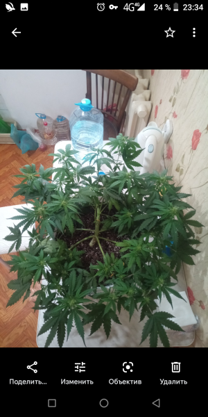 Screenshot_20220727-233409.png Screenshot_20220727-233409.png