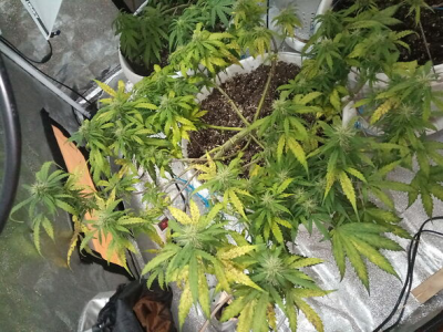 1659109427785.png 1659109427785.png