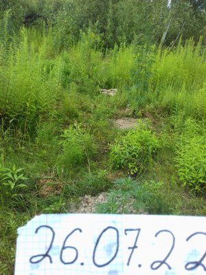 20160603_014010.jpg 20160603_014010.jpg