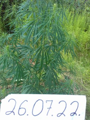 20160603_014058.jpg 20160603_014058.jpg