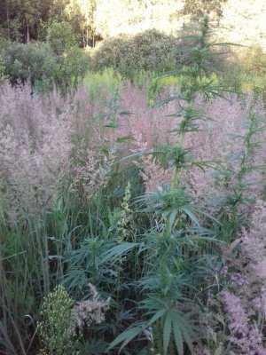 20160605_065703.jpg 20160605_065703.jpg