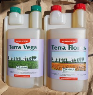 20220729_182640.jpg 20220729_182640.jpg