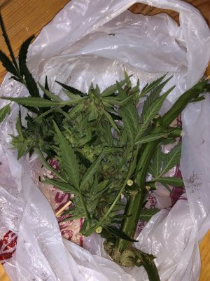 IMG_5592.jpg IMG_5592.jpg