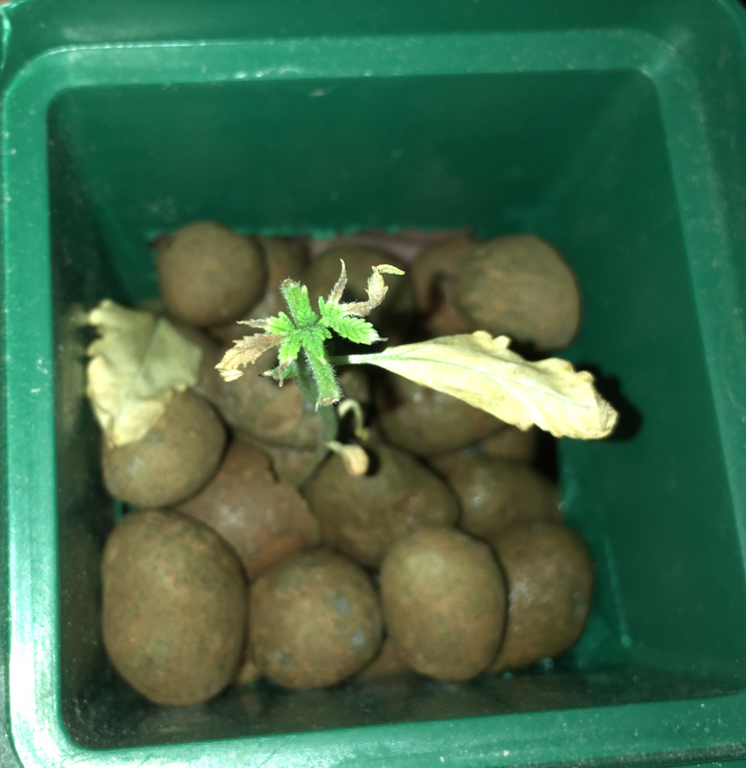 29 (2).png 29 (2).png