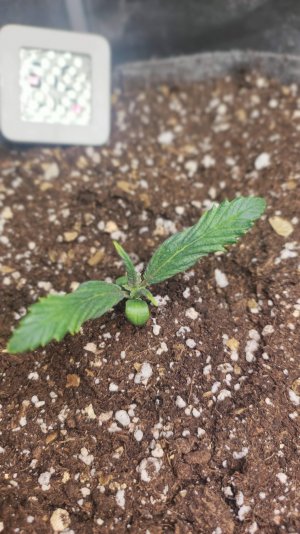 imgonline-com-ua-CompressBySize-P5hK9j56v6Q.jpg imgonline-com-ua-CompressBySize-P5hK9j56v6Q.jpg