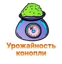 5Urozhajnost konopli-100.jpg