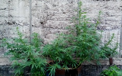 бочка1.jpg бочка1.jpg