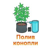 28-Poliv konopli-100.jpg 28-Poliv konopli-100.jpg