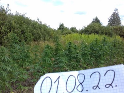 20160609_021212.jpg 20160609_021212.jpg