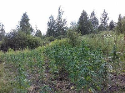 20160609_021446.jpg 20160609_021446.jpg