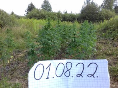 20160609_021054.jpg 20160609_021054.jpg