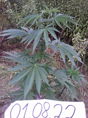 20160609_060051.jpg 20160609_060051.jpg